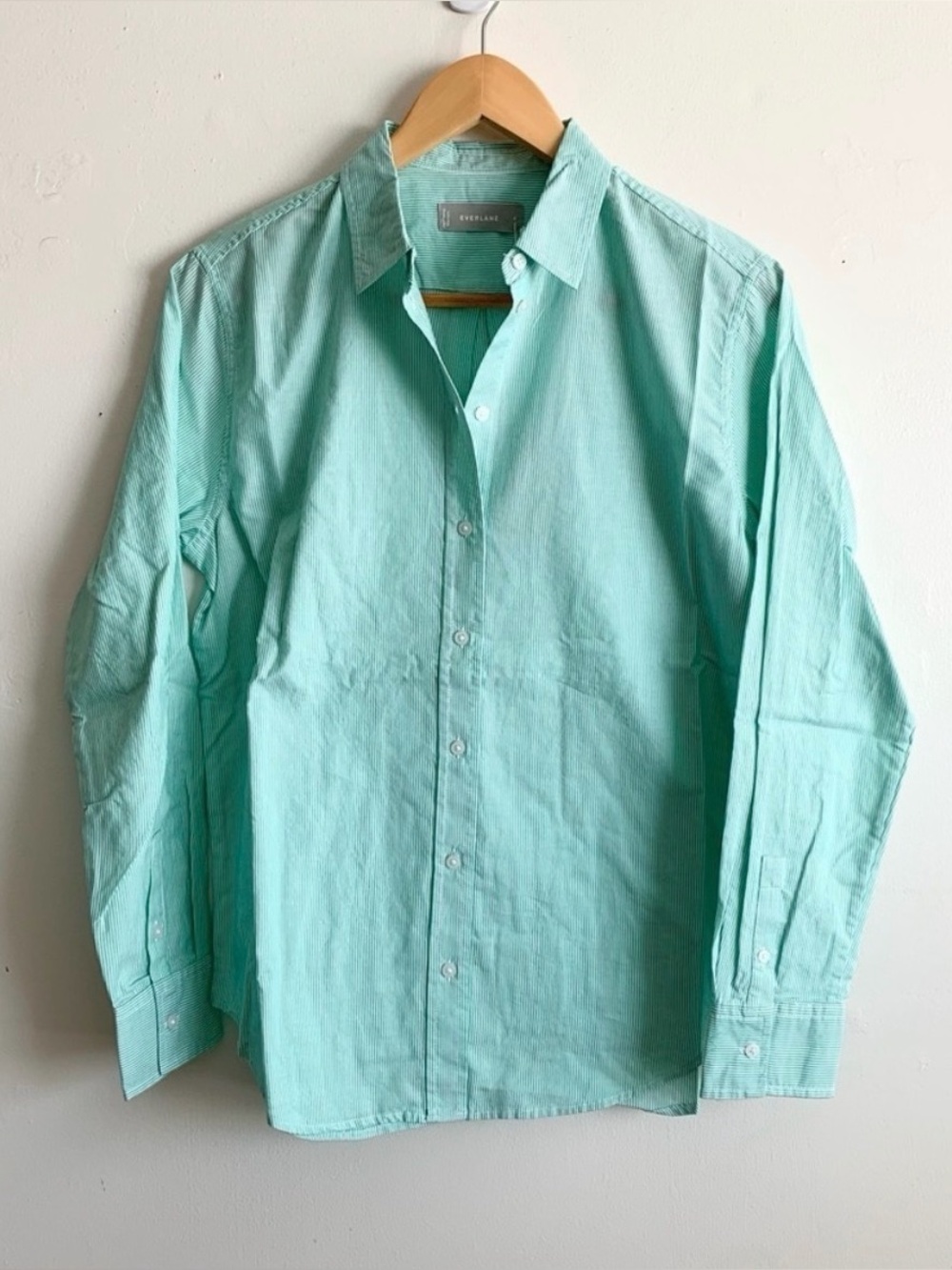 Everlane Silky Cotton Striped Button Down Shirt